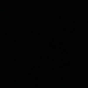 Meet your Posher, Donald